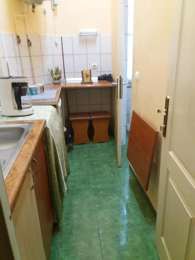 Апартаменти Garsoniera Alegna Сібіу Екстер'єр фото
